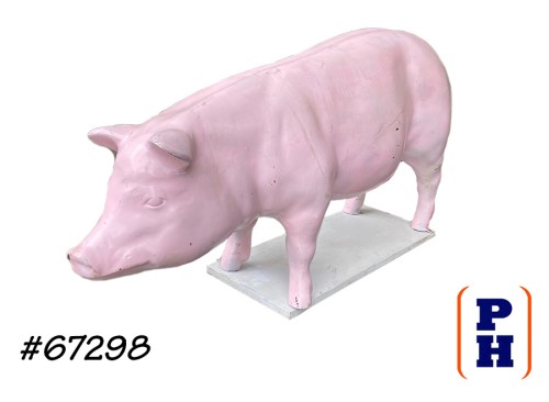 Pig