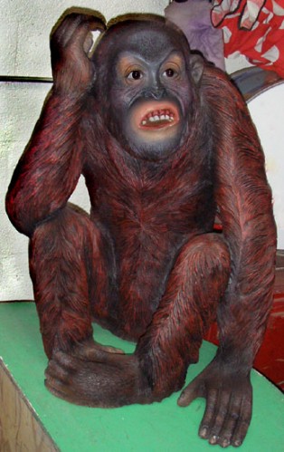 Orangutan
