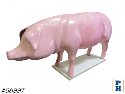 Pig