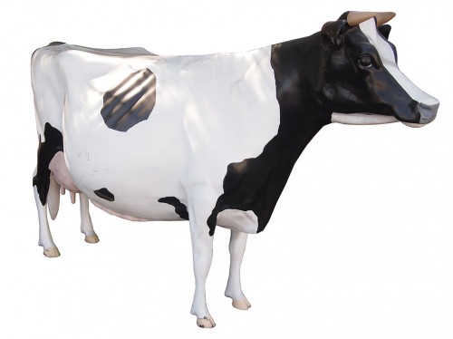 Cow