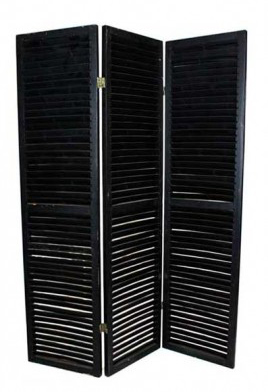 Privacy Screen