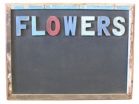 Flowers  Chalkboard