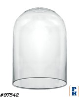 Glass Dome / Cloche