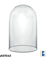 Glass Dome / Cloche