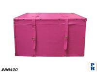 Trunk