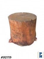 Tree Stump
