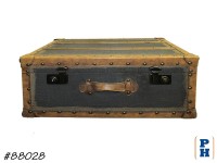 Display Luggage