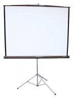 Projector Screen