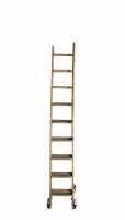 Library Ladder