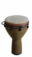 Musical Instrument