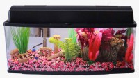 Aquarium