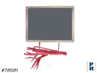 Hanging Lobster with Chalkboard