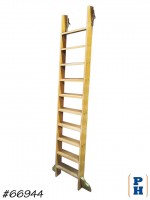 Library Ladder