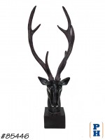 Deer Head