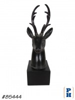 Deer Head