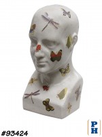 Phrenology Head