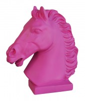 Horse Head