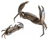Crab