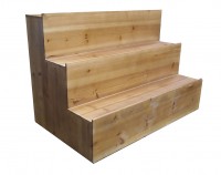 Step Display