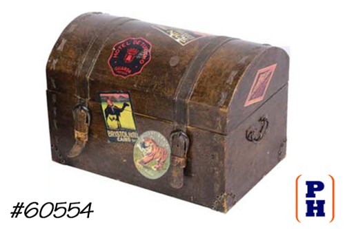 Display Trunk