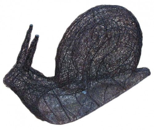 snail