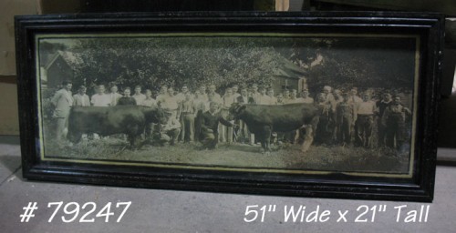 framed photo