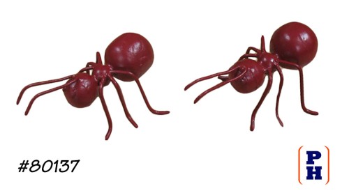 Ant