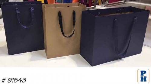Gift / Shopping Bag