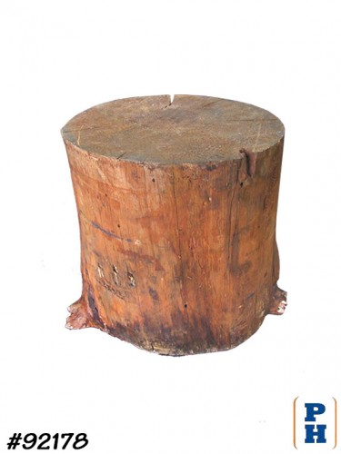 Tree Stump