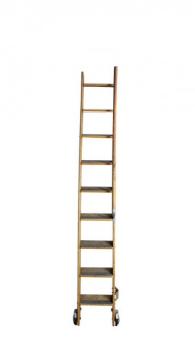 Library Ladder