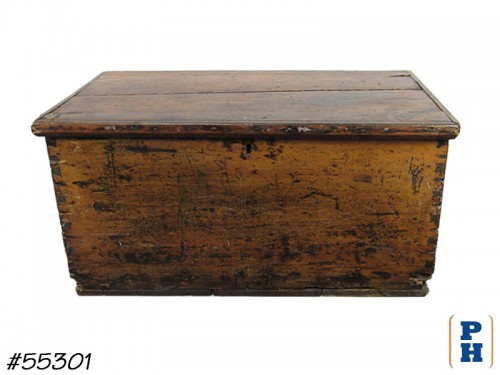 Chest / Trunk