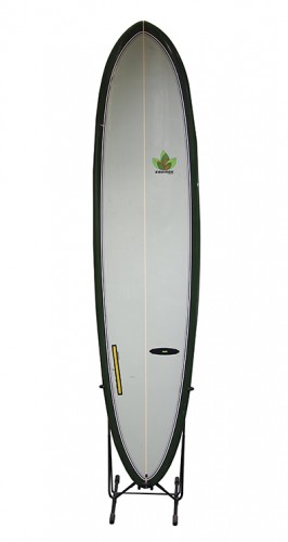 Surfboard 