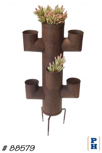 Cactus Planter