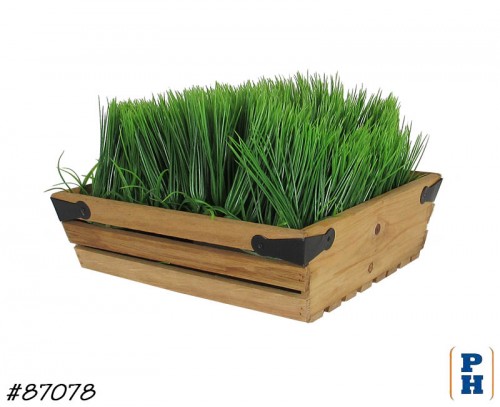 Wheatgrass