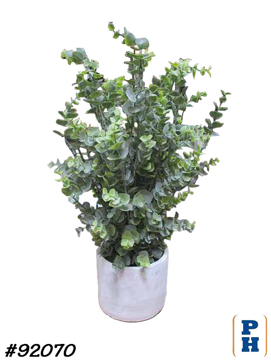 Fake Plant in Fake Flowers & Plants