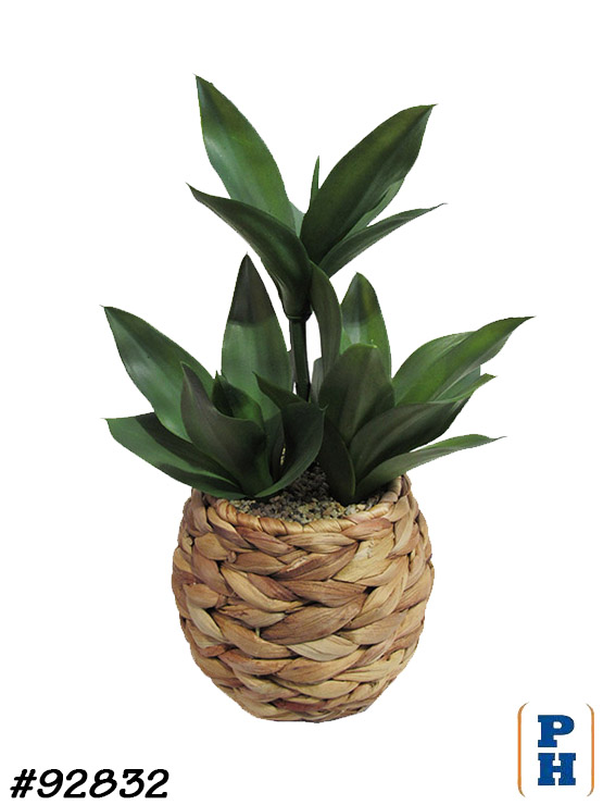 Fake Plant in Fake Flowers & Plants