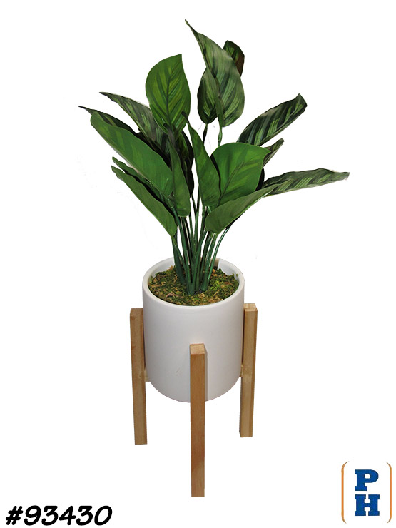 Fake Plant in Fake Flowers & Plants