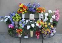 Flower Arrangements