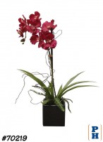 Faux Plant