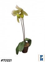 Faux Plant