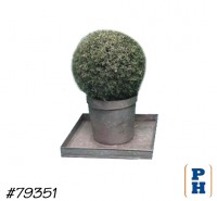Topiary