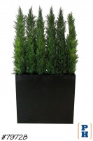 Topiary - Boxed Hedge