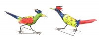 Roadrunner