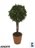 Topiary