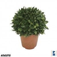 Fake Plant