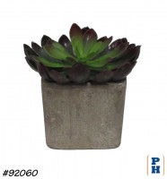 Fake Plant