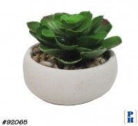 Fake Plant