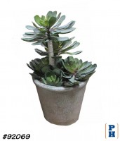 Fake Plant