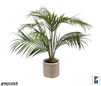 Fake Plant