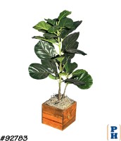 Fake Plant